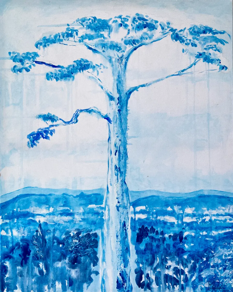 Ceiba barrigona (Ceiba pentandra) &mdash; 2025. Acrylic on canvas, 24x28 in.