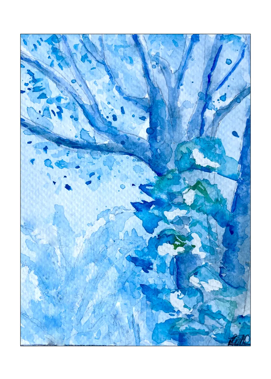 Cenizaro (Samanea saman) &mdash; 2025. Watercolour, 6x8 in.