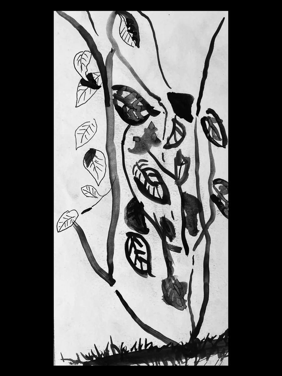 Maracuya (Passiflora incarnata) &mdash; 2025. Ink on paper, 8x11 in.