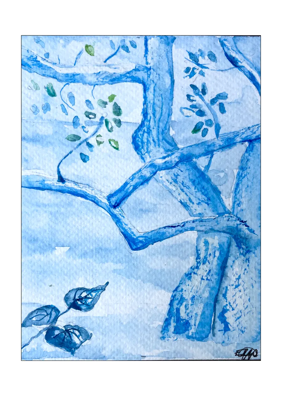 Palo de hierro (Lysiloma divaricatum) &mdash; 2025. Watercolour, 6x8 in.